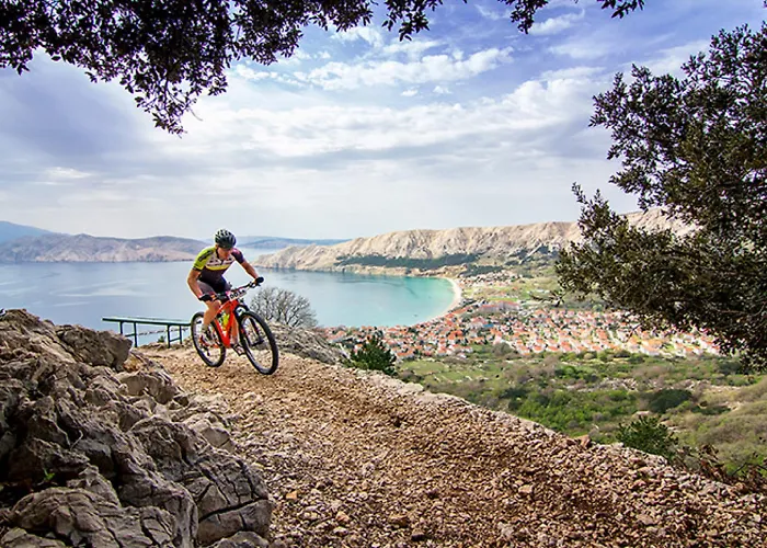 Hotel Sunny By Valamar 4*